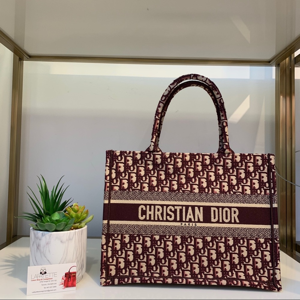 Dior Book Tote - Small